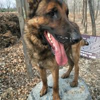 撑起一片天头像