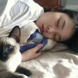 阿巴阿巴0730头像