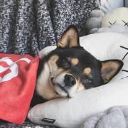 嗨呀163的个人资料头像