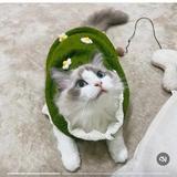 赫赫闪闪头像