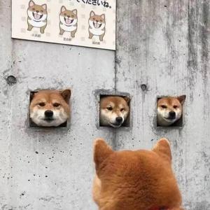 爱玩游戏的翌明头像