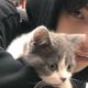 开朗橙子TK · ZEEKR 001 FR车主·车龄1年头像