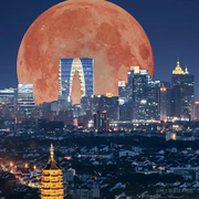 程序员胖胖仔的个人资料头像