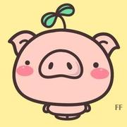 想飞的猪zyy的个人资料头像