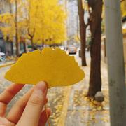 看星星的女孩的个人资料头像