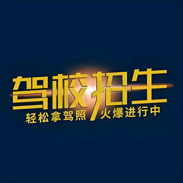 济南驾培谢总头像