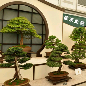 佳禾生态头像