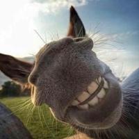 今天想要做什么头像