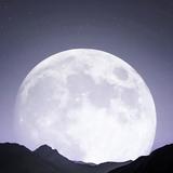 温柔艾丽森6B9头像