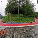 五彩星空头像