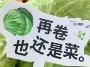 HT重名了吧的个人资料头像
