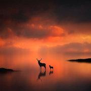 木马Steven的个人资料头像