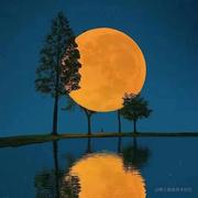 程序人生热爱版的个人资料头像