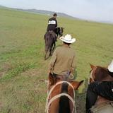 好心累呀我头像