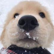 hilary1l的个人资料头像