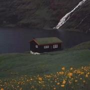 檐下的个人资料头像