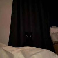 陈皮皮不吃肉头像