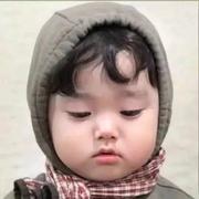 拿着小破仑的个人资料头像