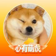 人间小傻瓜的个人资料头像