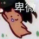 牛宝宝zmx头像