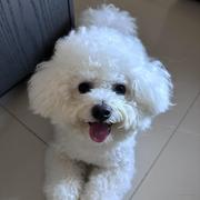 Sarah_的个人资料头像