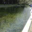 范毓的个人资料头像