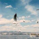 whoispower的个人资料头像