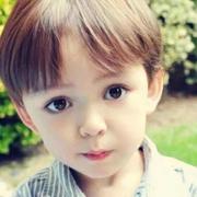 要说什么的个人资料头像