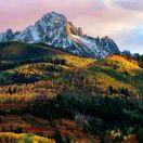 唏嘘的须根君的个人资料头像