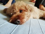 你做核酸了吗的个人资料头像