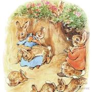 秋日葵的个人资料头像