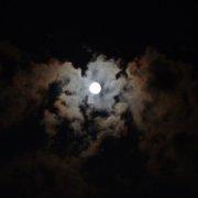 锤子爱砸房子的个人资料头像