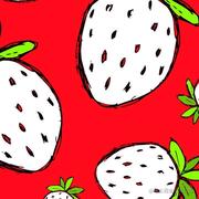 Honokaa的个人资料头像