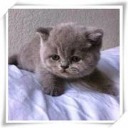 Amos413的个人资料头像