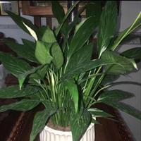 游乐场泊头8Y8头像