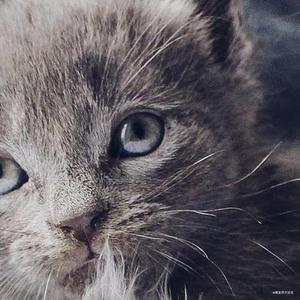 Android 圆角图片RoundImageView（Canvas.drawDoubleRoundRect） - 掘金