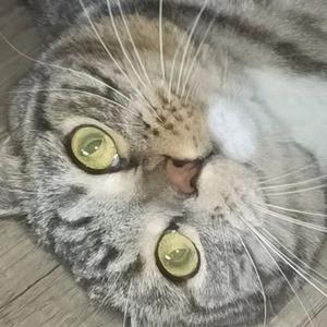 焘哥侃谈头像