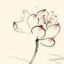 阿友的个人资料头像