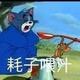 wedfd头像