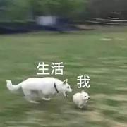 oneD的个人资料头像