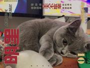 七月不下雨_的个人资料头像