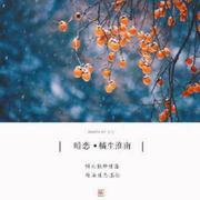 枳言片语的个人资料头像