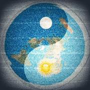 周旭湘的个人资料头像