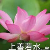 用户346572270841头像