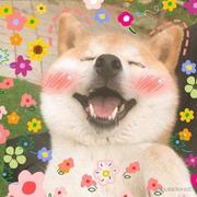 cszdby的个人资料头像