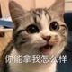 狐说 · 荣威D7 EV车主·车龄半年头像