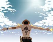 晓风乱云的个人资料头像