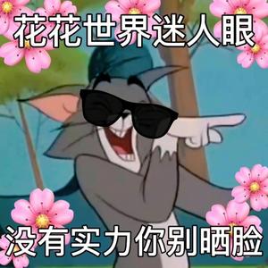 真诚八卦娱乐圈头像