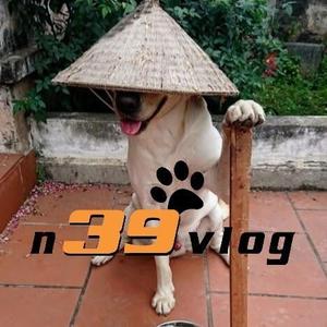 n39vlog头像