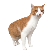 以下是胡扯的个人资料头像